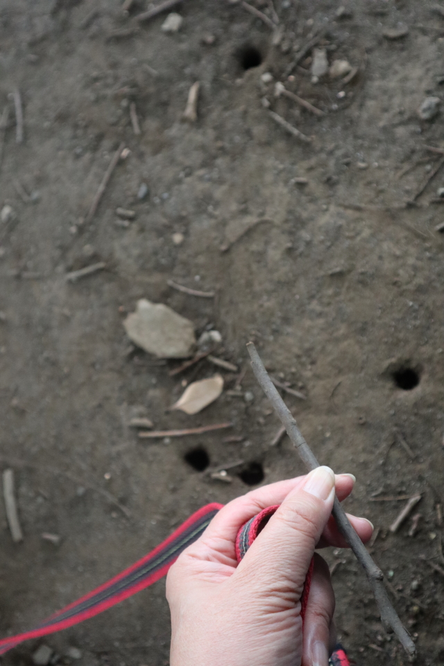 ファイル 8085-3.jpg