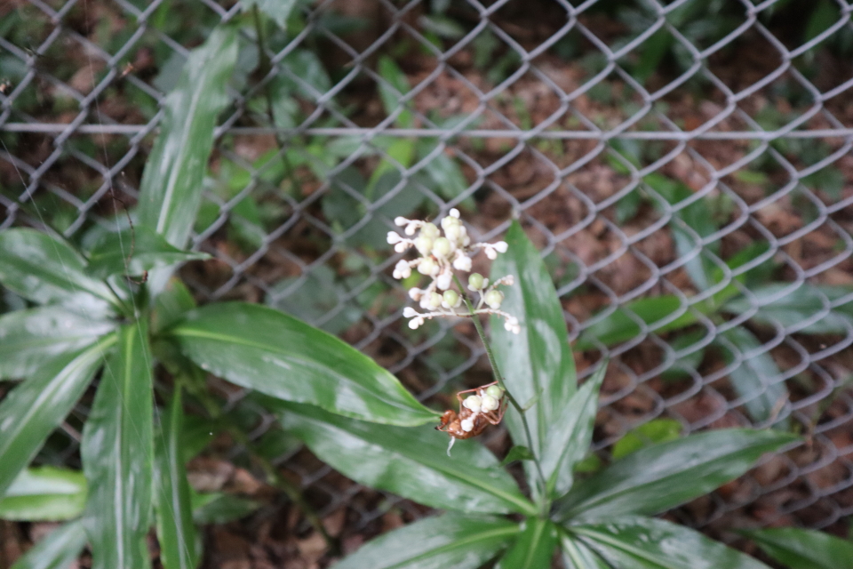 ファイル 8085-5.jpg