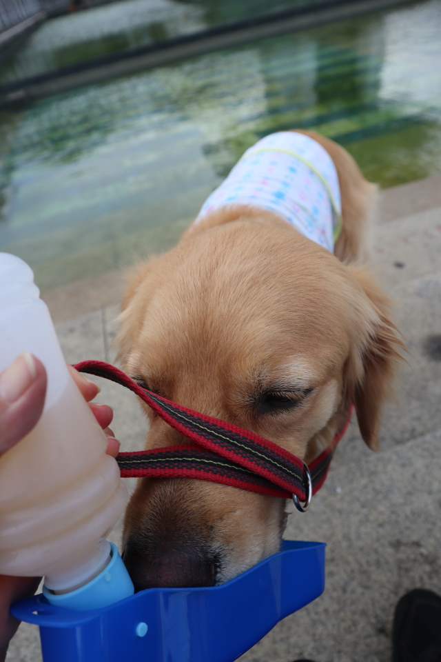 ファイル 8086-1.jpg