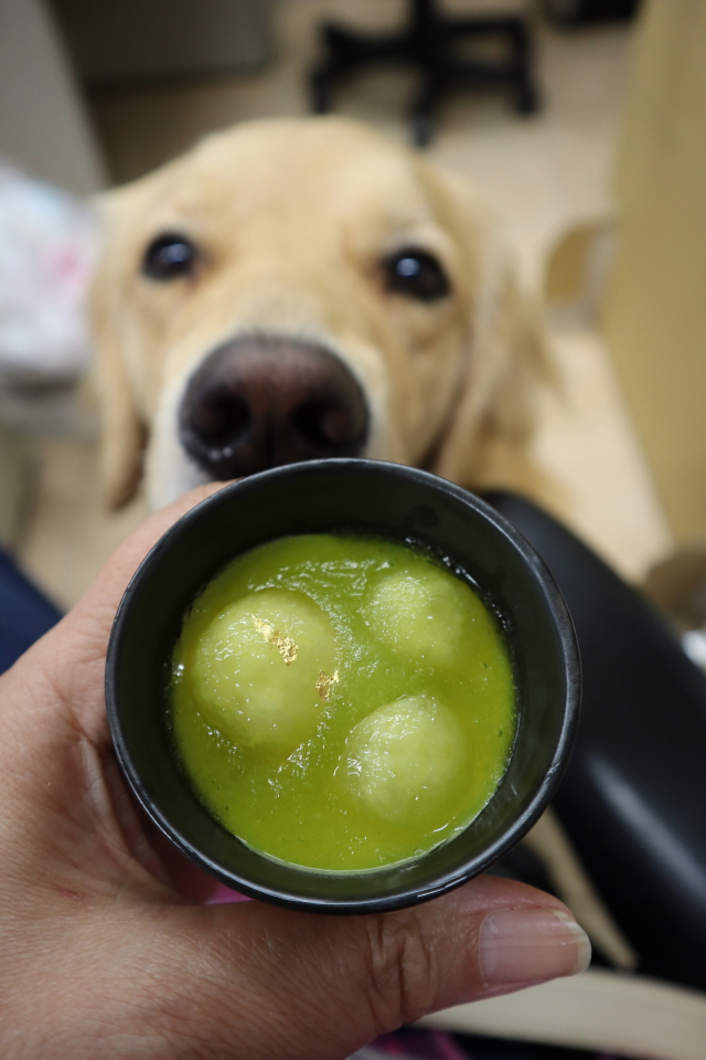 ファイル 8086-5.jpg