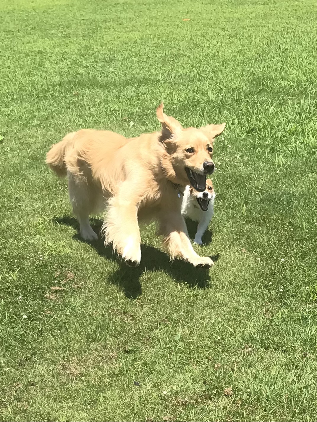 ファイル 8087-1.jpeg