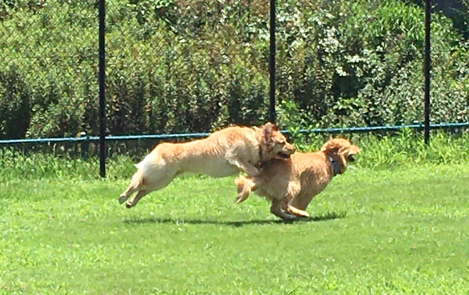 ファイル 8087-2.jpeg