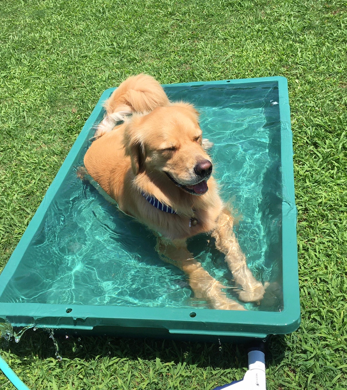 ファイル 8087-3.jpeg