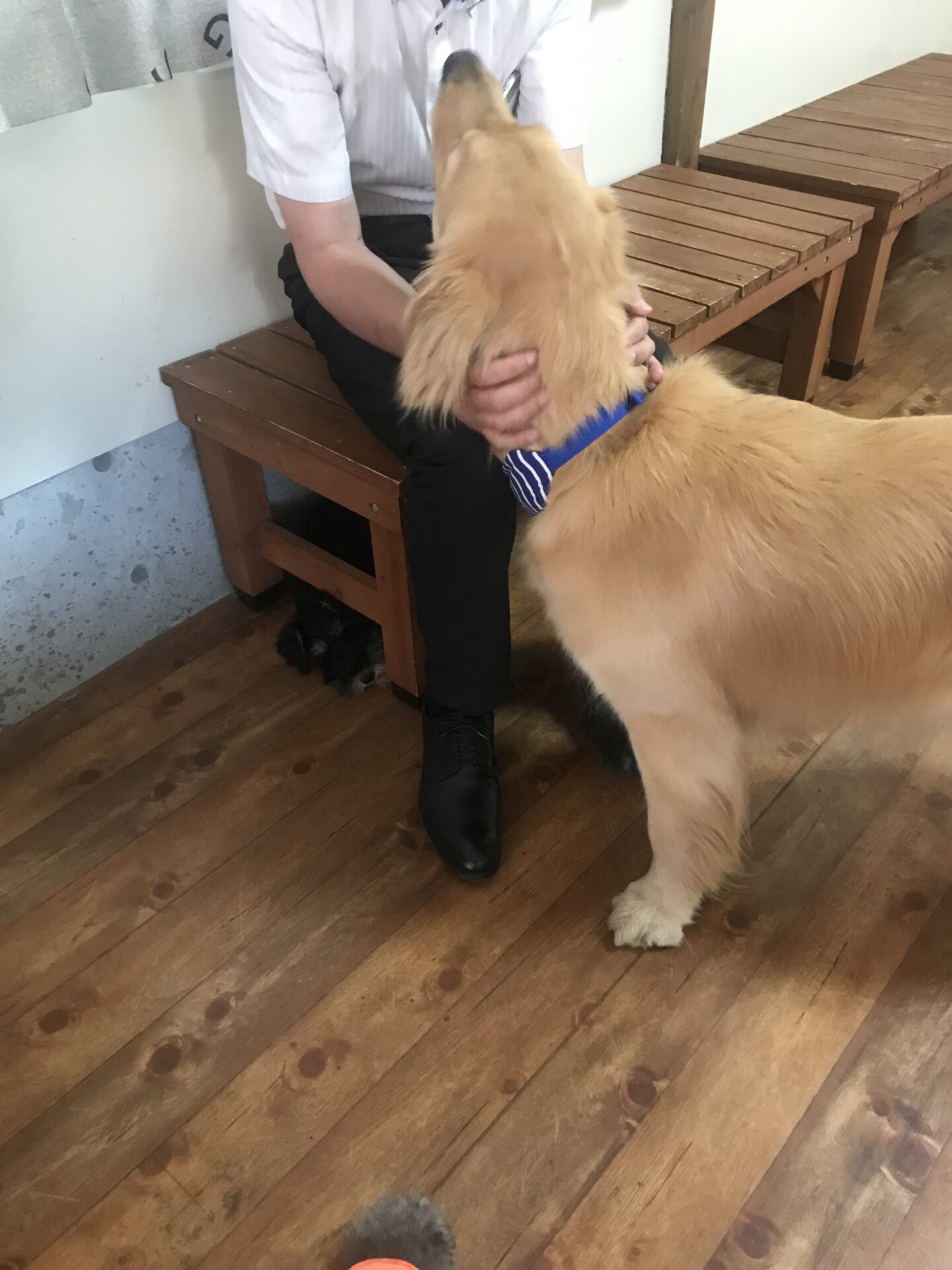 ファイル 8087-4.jpeg