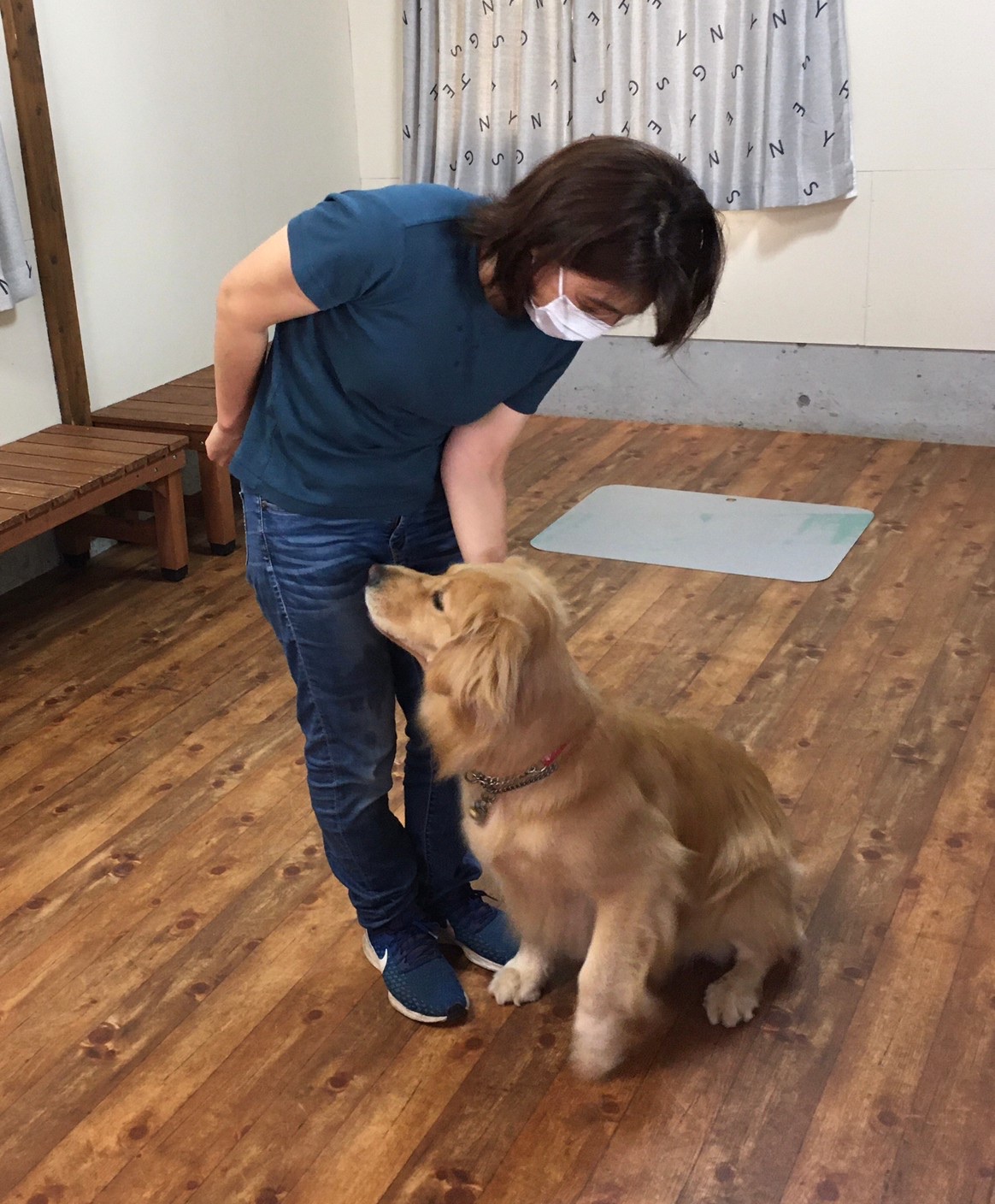 ファイル 8087-5.jpeg