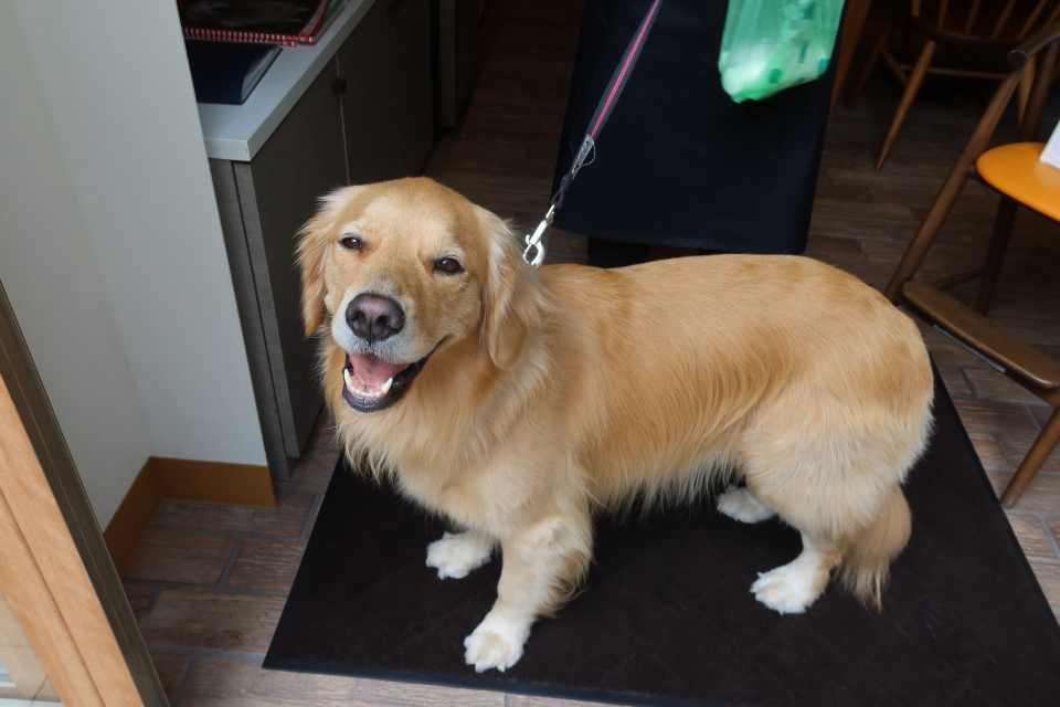 ファイル 8092-2.jpg