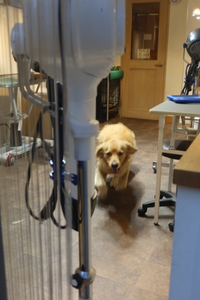 ファイル 8092-4.jpg