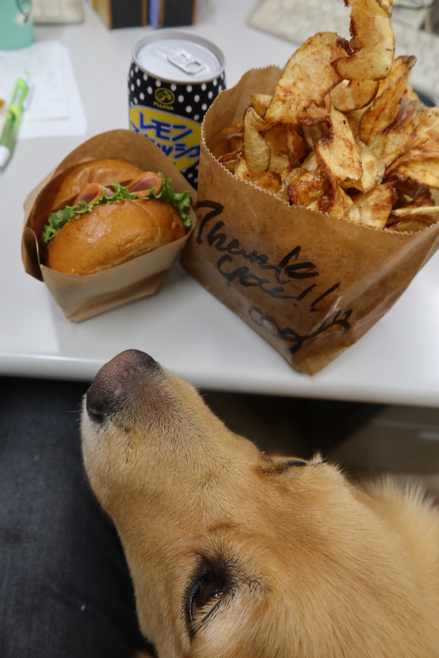 ファイル 8096-1.jpg