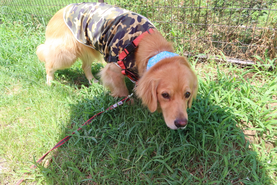 ファイル 8096-3.jpg