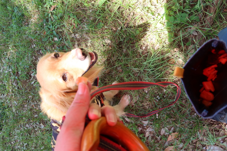 ファイル 8096-4.jpg