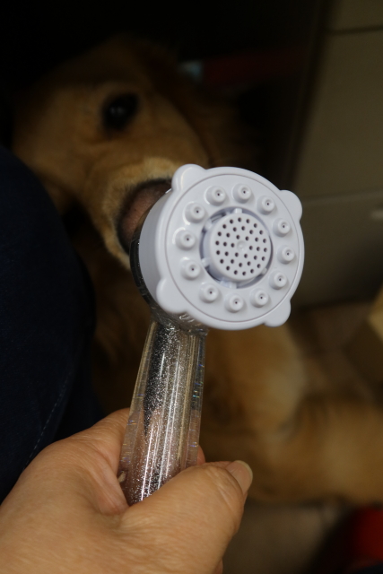 ファイル 8099-1.jpg