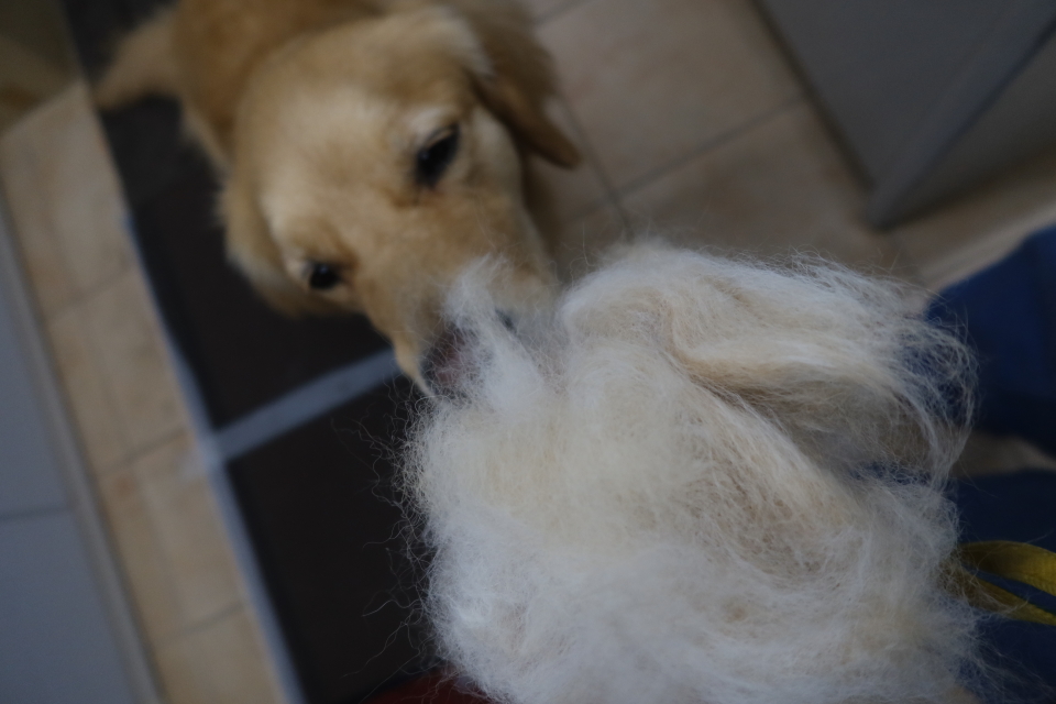 ファイル 8099-2.jpg