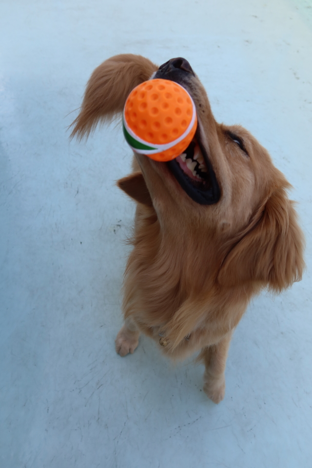 ファイル 8099-3.jpg