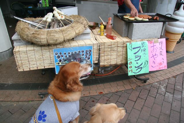 ファイル 81-2.jpg