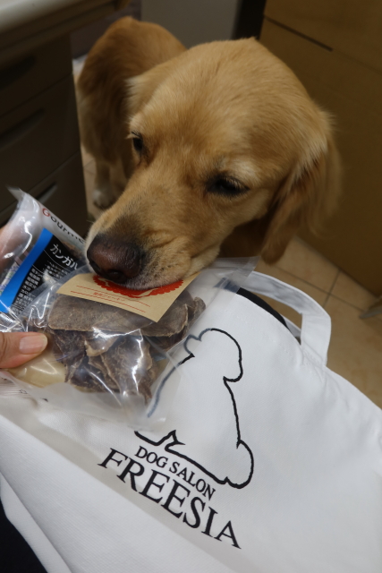 ファイル 8102-4.jpg