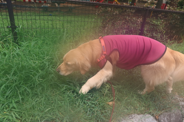 ファイル 8102-5.jpg