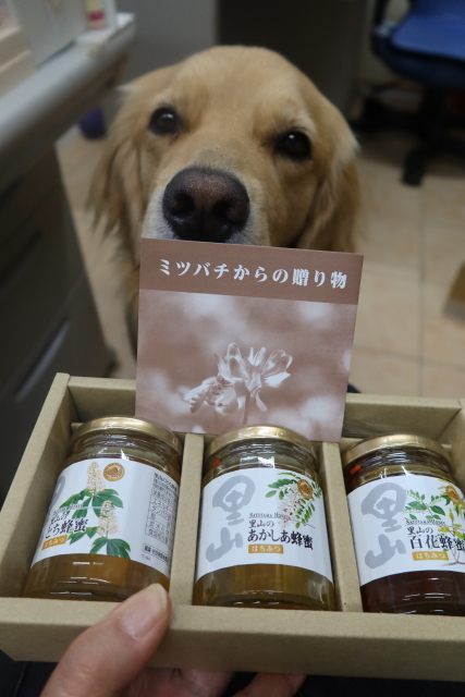 ファイル 8103-2.jpg