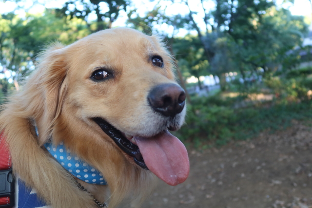 ファイル 8103-3.jpg