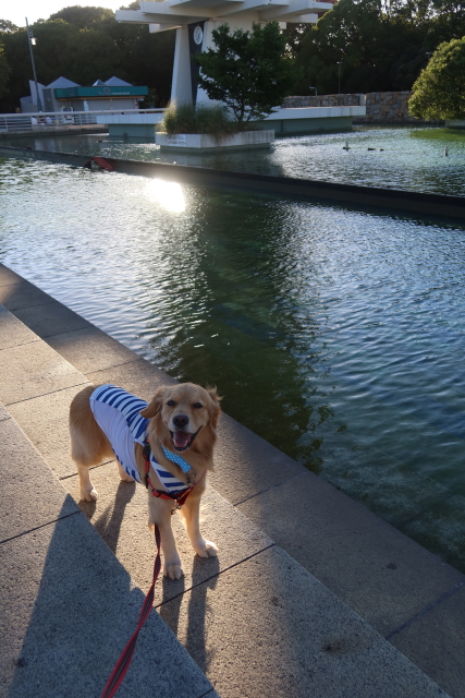 ファイル 8103-5.jpg