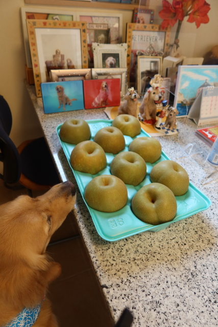 ファイル 8106-5.jpg