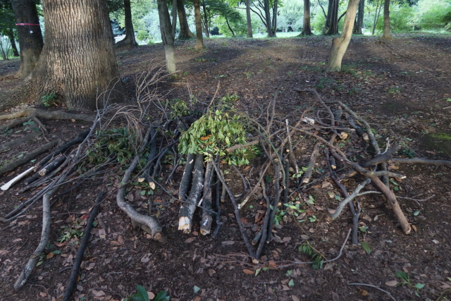 ファイル 8107-4.jpg