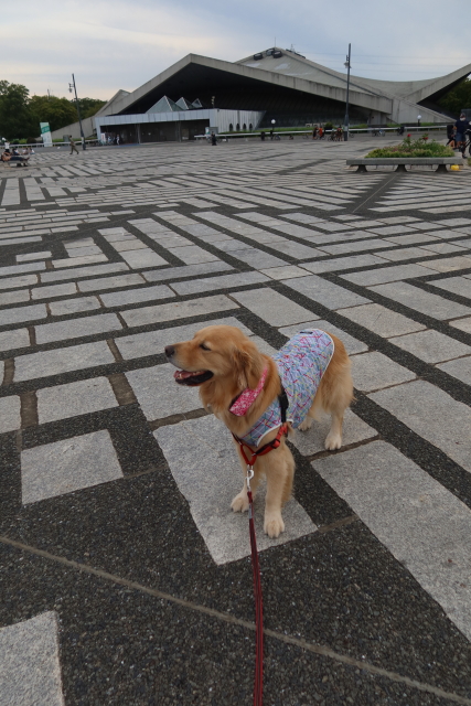 ファイル 8107-5.jpg