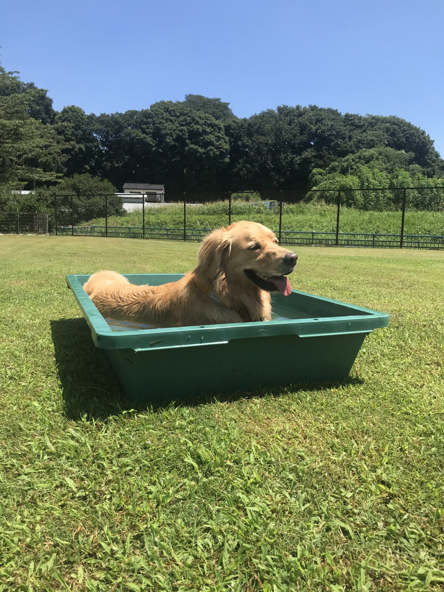 ファイル 8108-3.jpeg