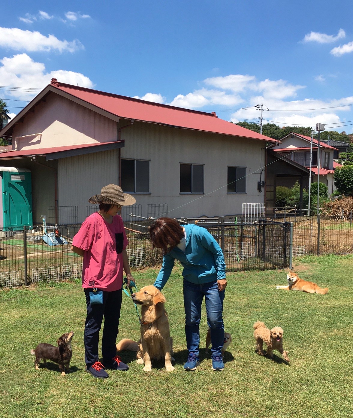 ファイル 8108-5.jpeg