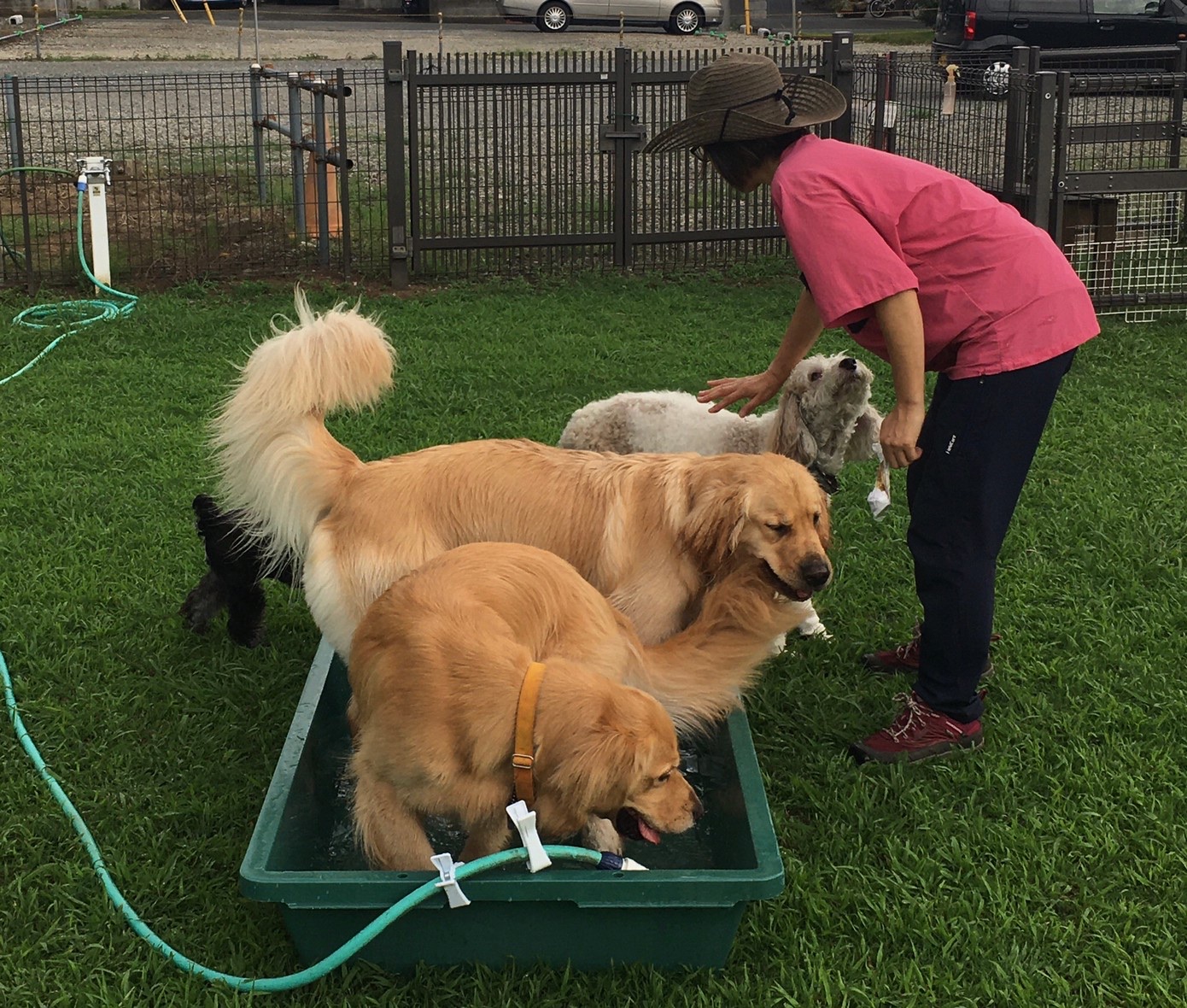 ファイル 8109-2.jpeg