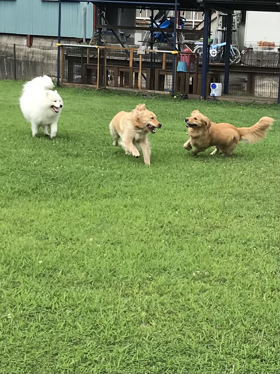 ファイル 8109-3.jpeg