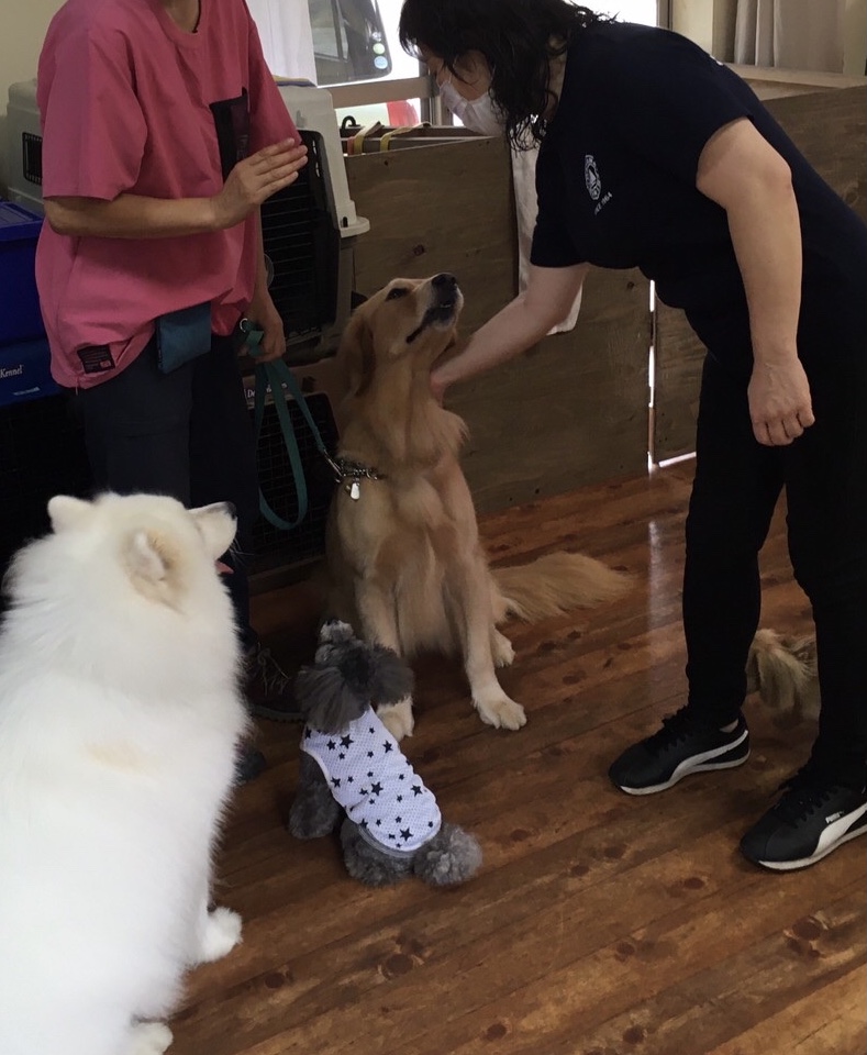 ファイル 8109-5.jpeg