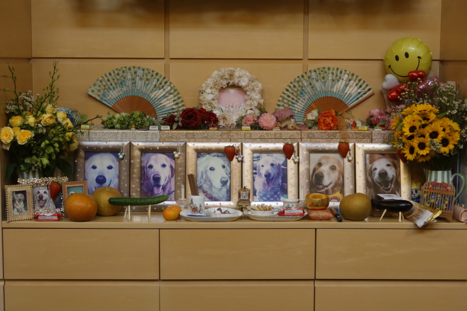 ファイル 8110-1.jpg