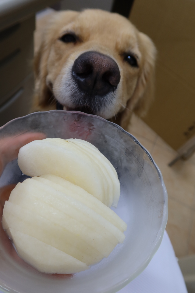 ファイル 8110-3.jpg