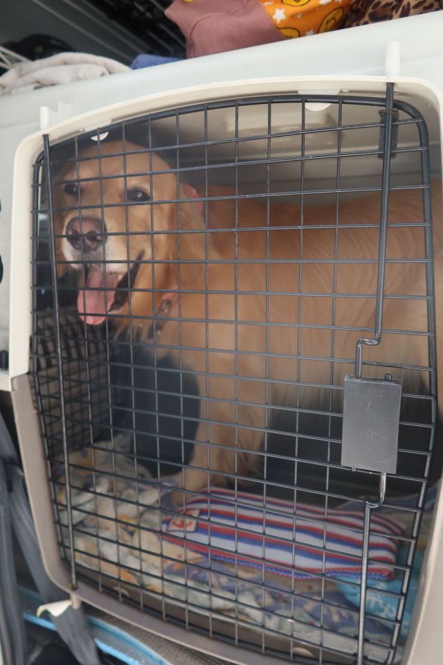 ファイル 8113-1.jpg