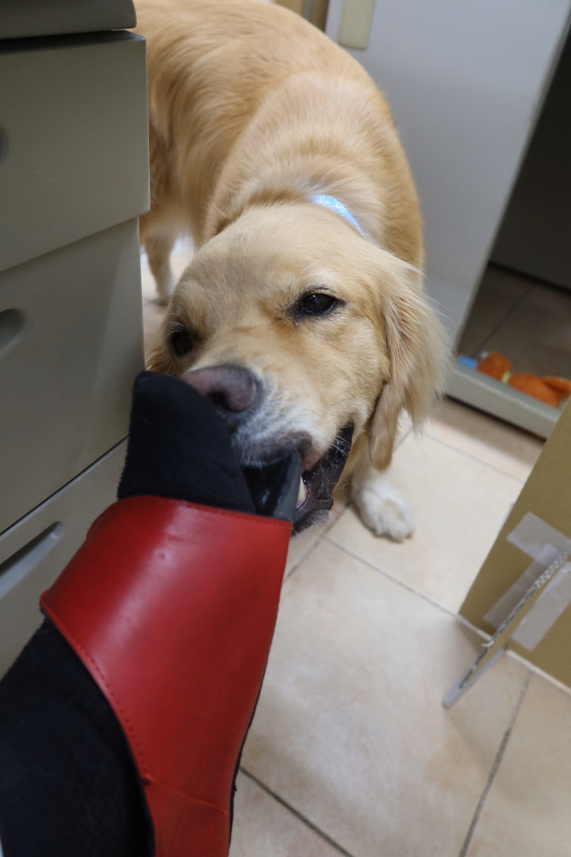 ファイル 8113-2.jpg