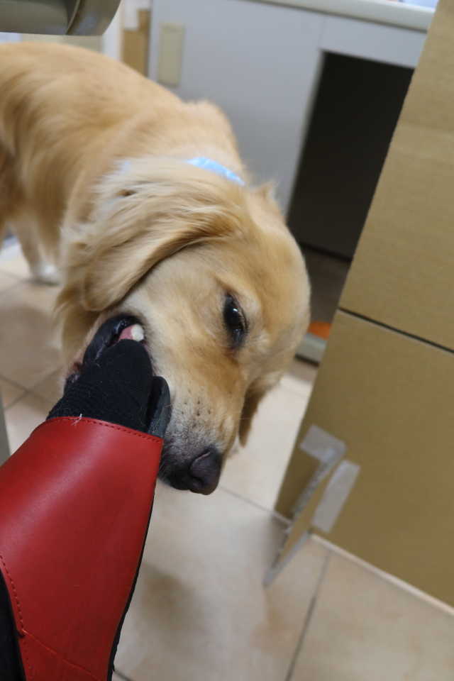 ファイル 8113-3.jpg