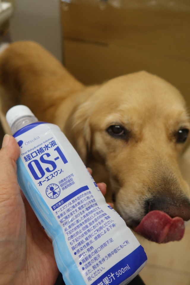 ファイル 8113-5.jpg