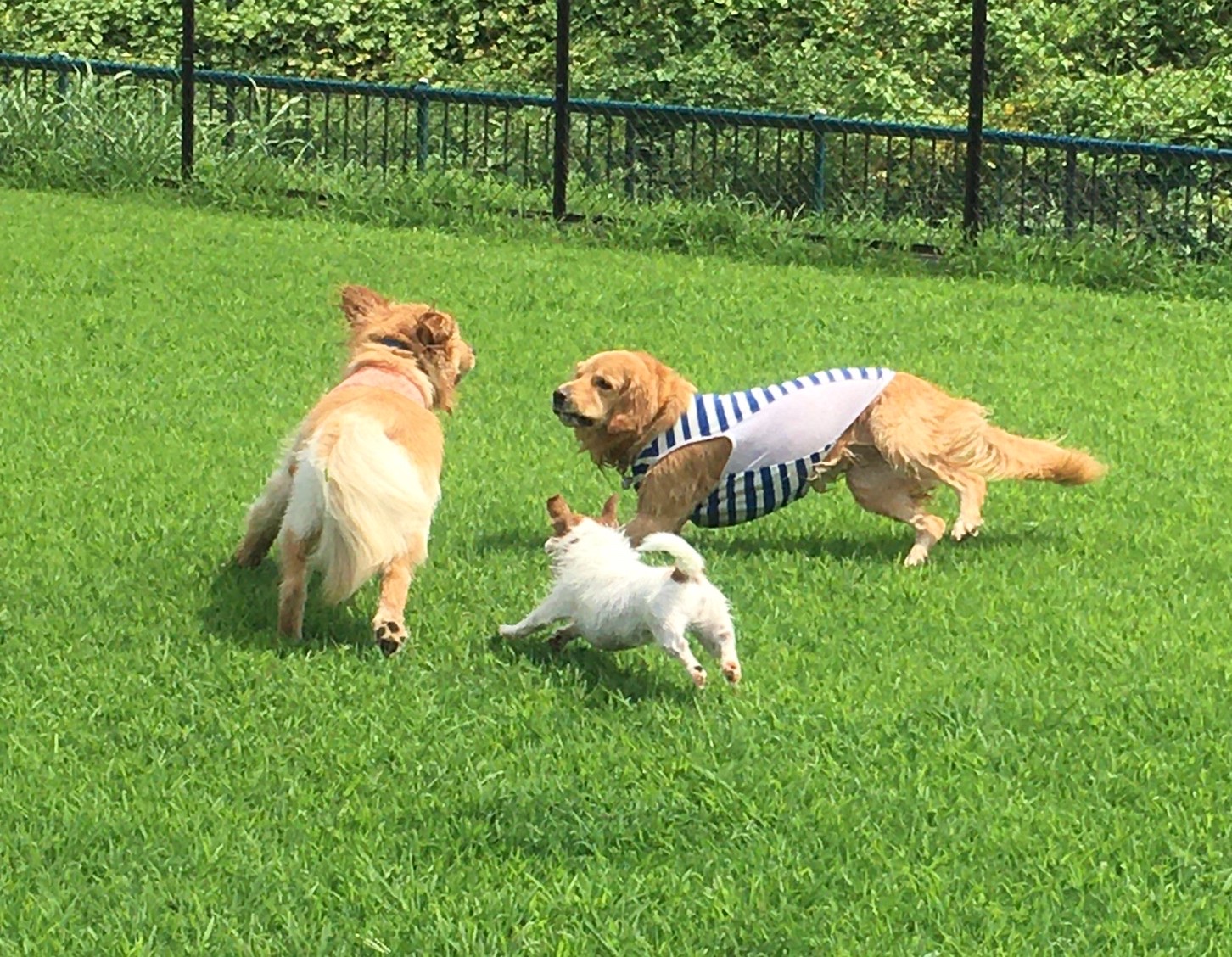 ファイル 8114-2.jpeg