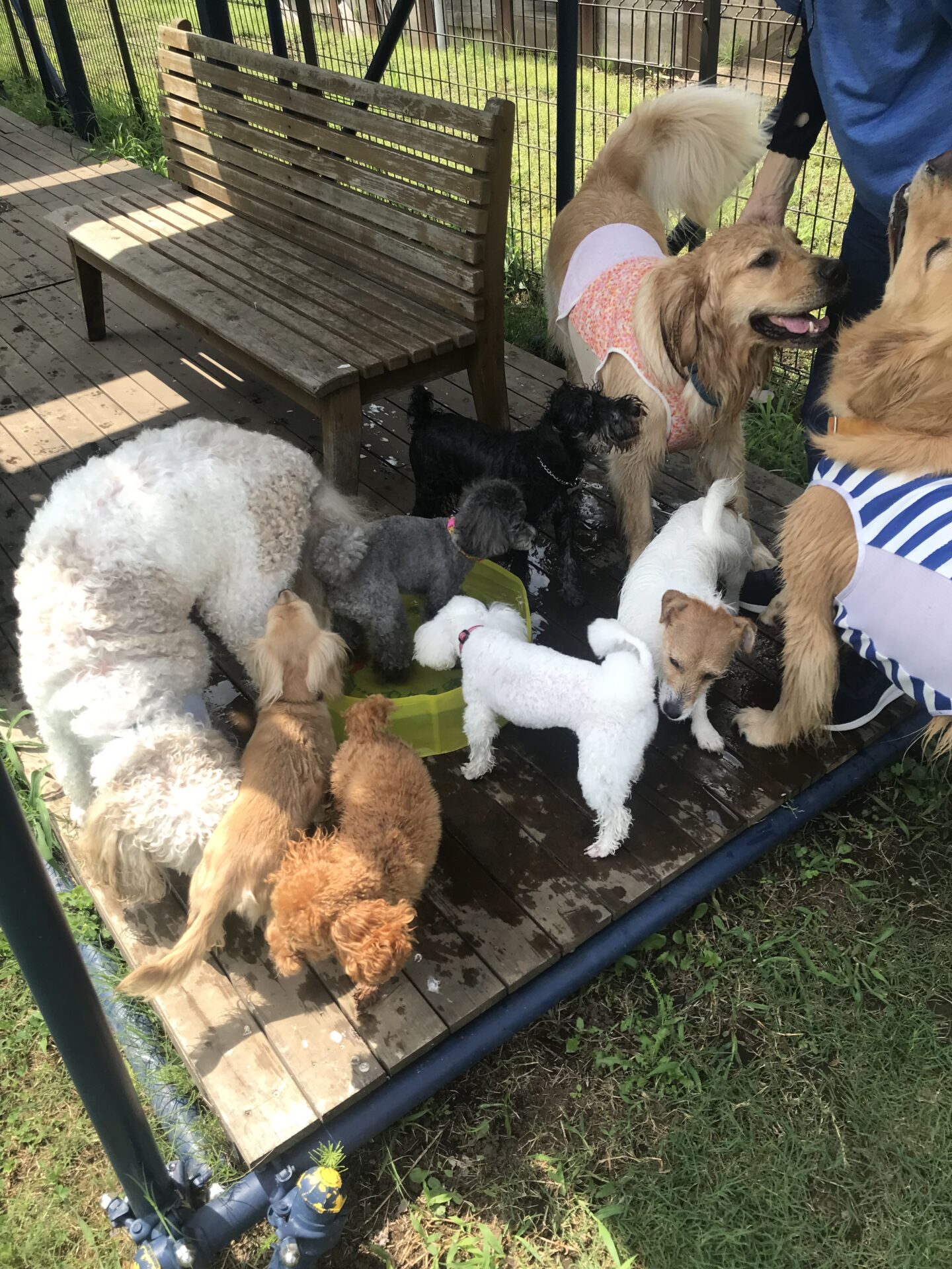 ファイル 8114-5.jpeg