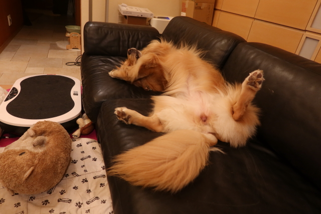 ファイル 8115-1.jpg