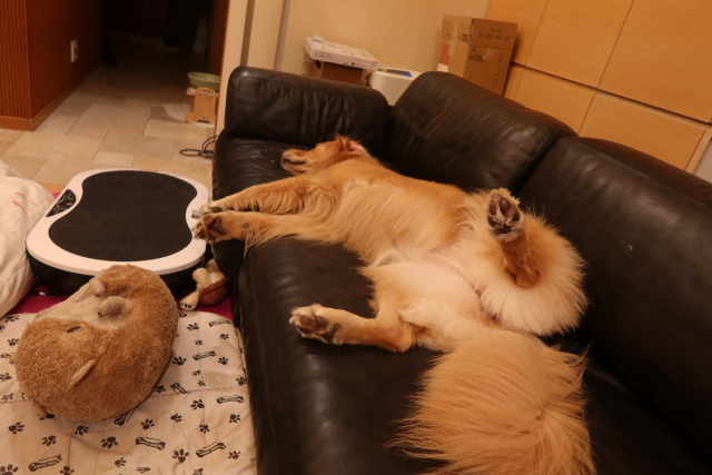 ファイル 8115-2.jpg