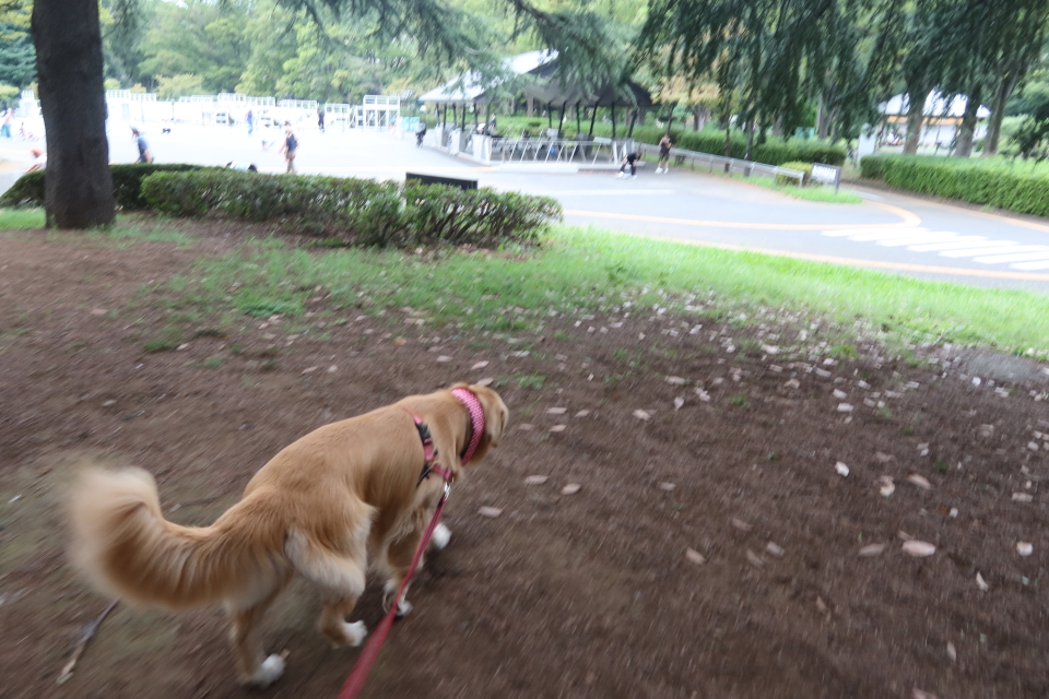 ファイル 8117-2.jpg