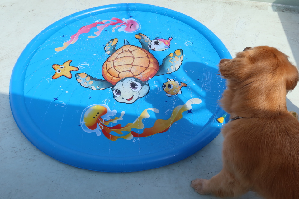 ファイル 8118-2.jpg