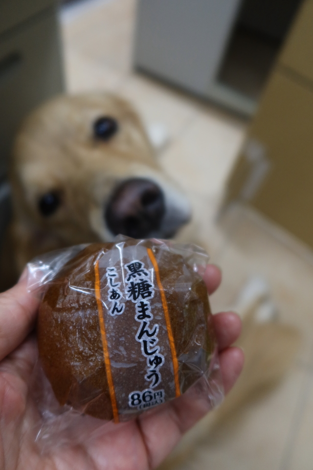 ファイル 8119-3.jpg