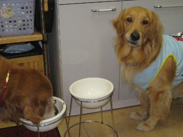 ファイル 812-5.jpg