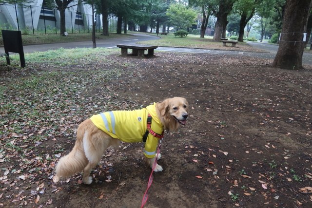 ファイル 8120-2.jpg