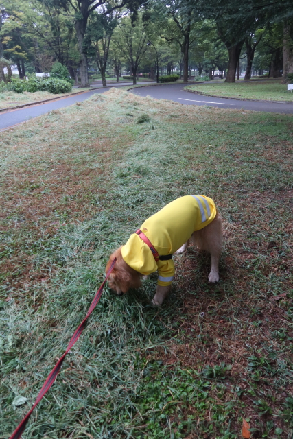 ファイル 8120-3.jpg