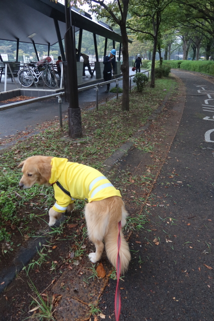 ファイル 8120-4.jpg