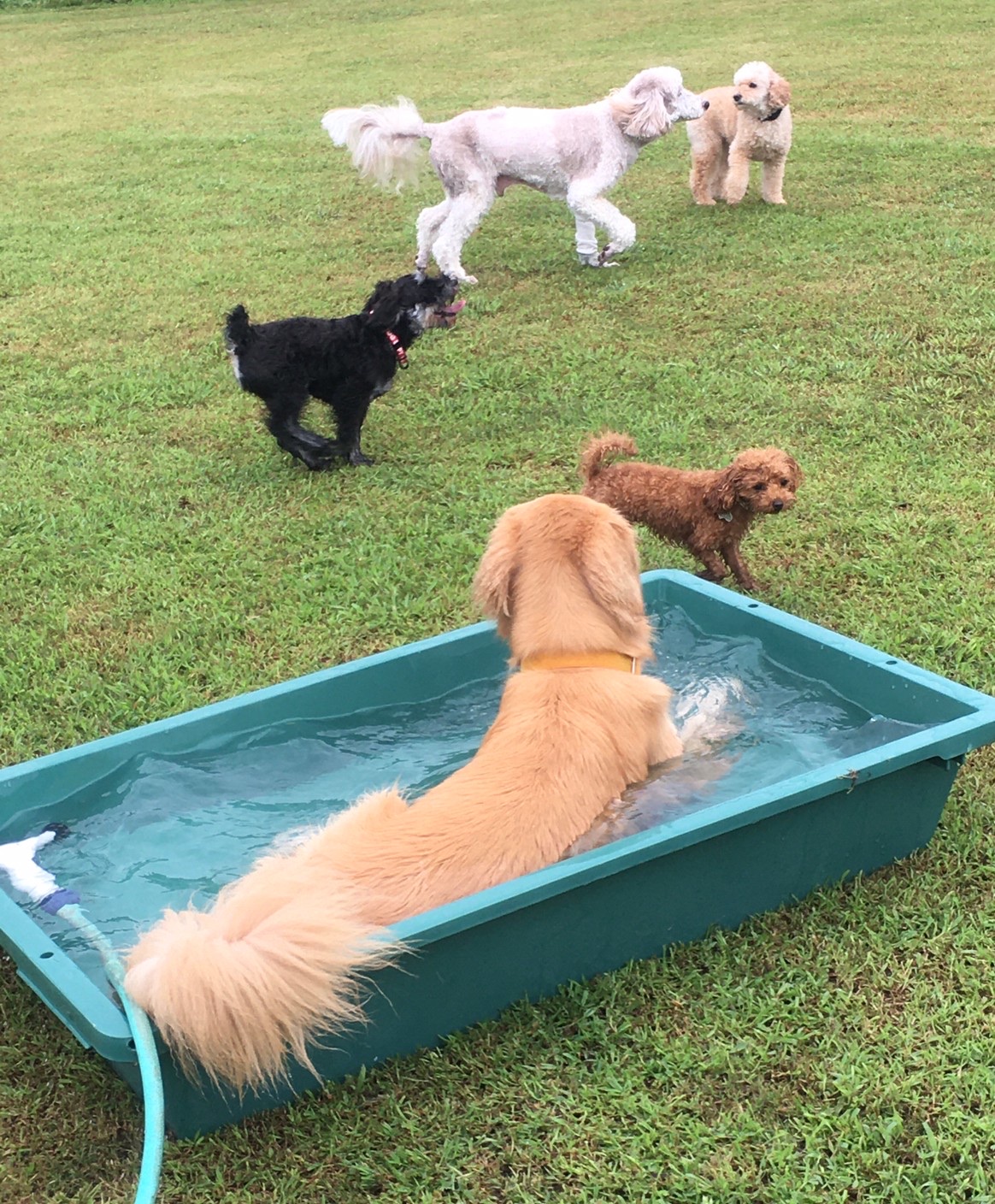 ファイル 8121-4.jpeg