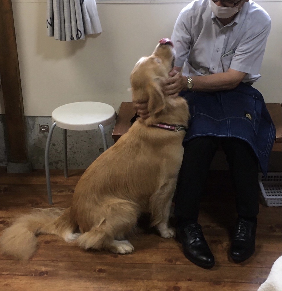 ファイル 8121-5.jpeg